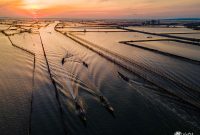 Chasing Sunlight on the Water – An Immersive Tour of Tam Giang Lagoon
