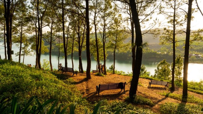 Vong Canh Hill in Spring – Where Hue’s Beauty Blooms Like a Painting